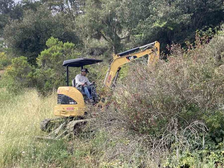 Cisco Greco from Sticks & Stones cutting the hillside for our three little oak saplings grown from seed by Jason Anderson and donated to BCA.