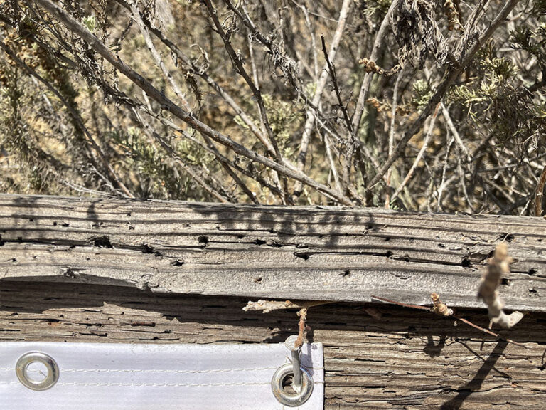 The old rail was damaged from nails, screws and staples.